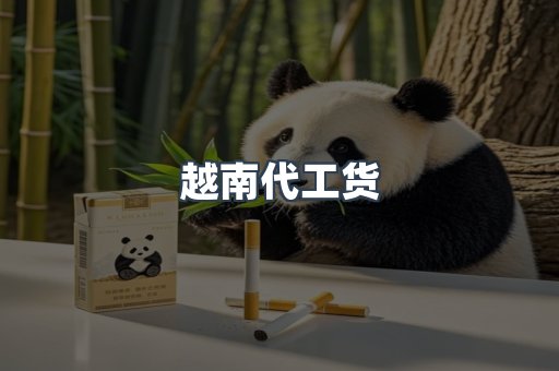越南代工货